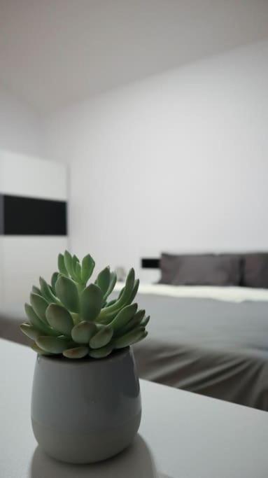 Modern Apartment In The Center Of Πράγα Εξωτερικό φωτογραφία